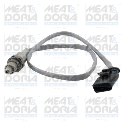 Oxygen Sensor